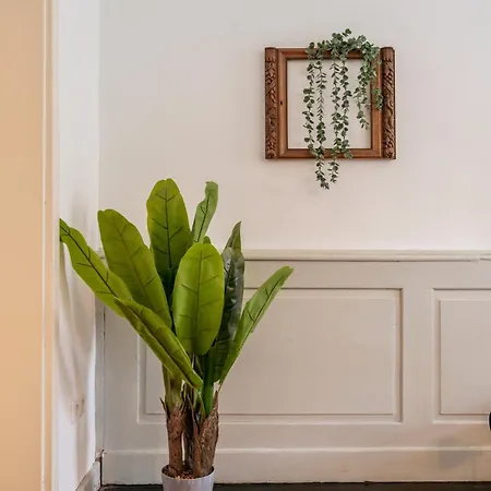 Appartement Lubunest2 Altstadtwohnung Am Bluehenden Barock Ludwigsbourg